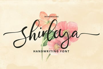 fancy cursive letters